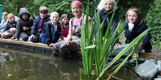 Whitchurch school cultivates new species around its pond