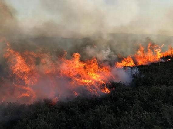 Heath fires sweep across the district