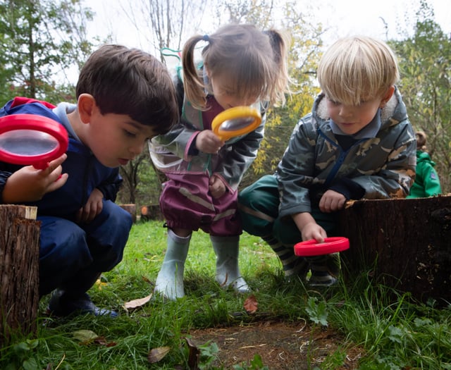 Forest fun on offer at St Ives School