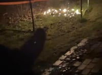 Garden trampoline set alight by mystery ‘flare’