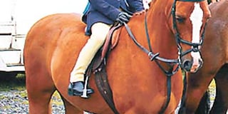 South Pembrokeshire Hunt Pony Club news
