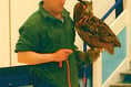 Cubs meet birds of prey