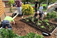 ‘Butterfly garden’ project completed for Pembroke Dock