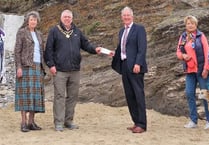 Saundersfoot’s Community Council backs its ‘Lonely Tree’