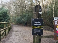 Alice Holt Forest closed to visitors because of high winds