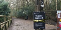 Alice Holt Forest closed to visitors because of high winds