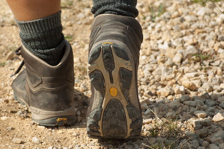 Meirionnydd Ramblers will visit Allt Llwyd