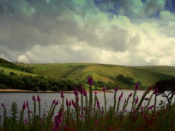 Photographers’ ‘Love Your Lakes’ views impress judges