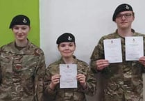 Promotions received by young people in recognition of service