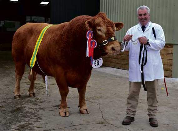 Walters family of North Hill pick up champion Ayrshire prize at Royal Cornwall Show