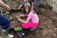 Sticklepath children get digging for brand new church garden