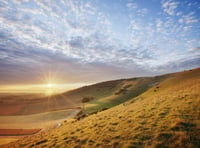 Local Elections 2023: Is it time we elected a South Downs chief?