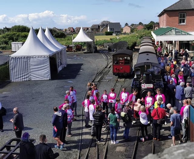 Baton relay Gwynedd: In pictures