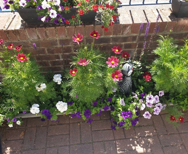 Funding agreed to keep Chobham in bloom