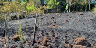Firefighters’ warning over parched lands