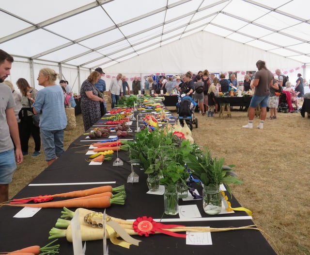 CHAGFORD SHOW: In pictures