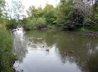 Survey work continuing at Kings Pond in Alton