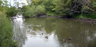 Council seeks to calm waters in heated pond debate 