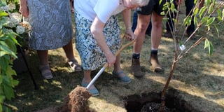 YFC tree plant to mark royal Jubilee