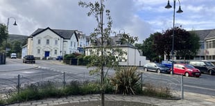 Okehampton tree saved in heatwave