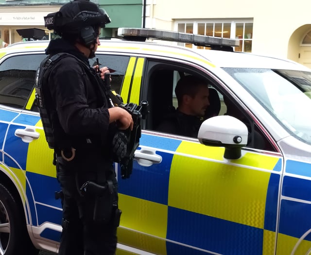 Teenager arrested 'at gunpoint' after assault at Wrecclesham rec