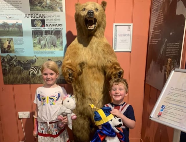 Teddy bears picnic held at Haslemere Museum