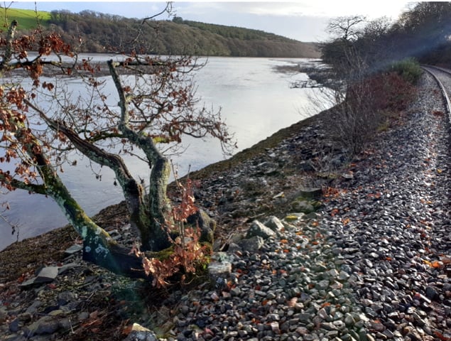 Marine licence sought due to sea defence concerns