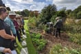 Tree planted in memory of the Queen