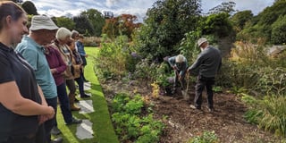 Tree planted in memory of the Queen