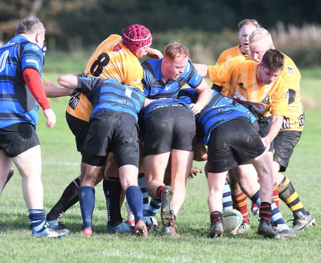 Manx Shield games all go the way of the form book