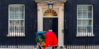 Patrick the Pony hopes to take the reins of government