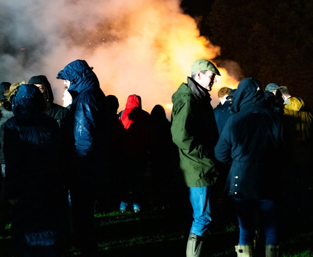 Crowds flock to firework displays despite the rain