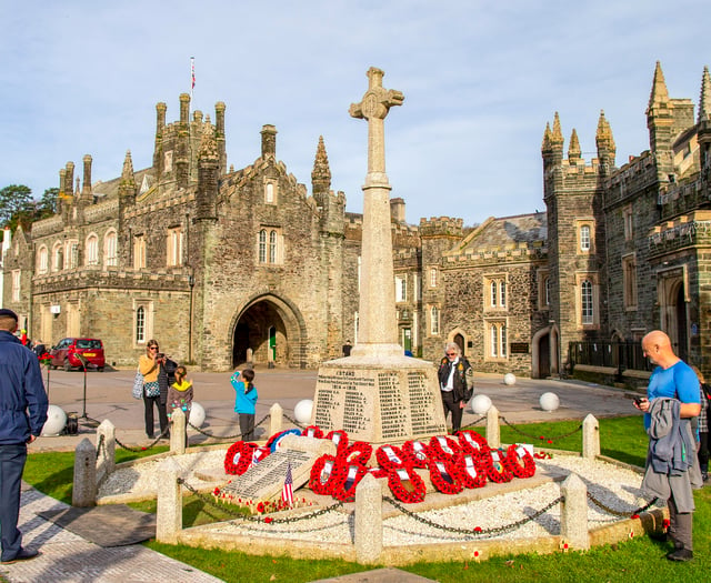 Tavistock Remembrance Day in pictures