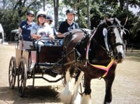 More opportunities to get disabled riders on ponies in Medstead