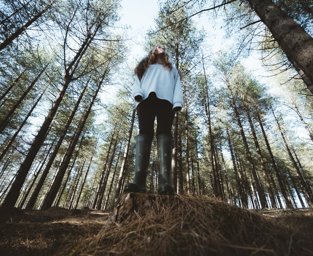 New Forest National Park named UK's most family-friendly hiking spot