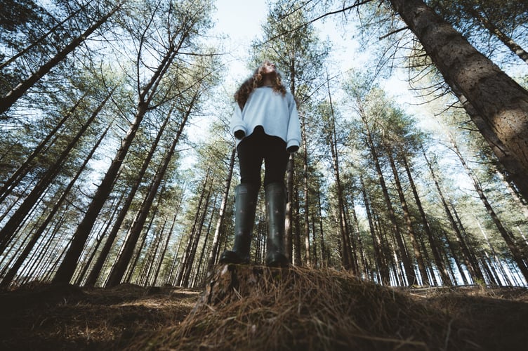 The New Forest has been named the best family-friendly hiking spot in the UK