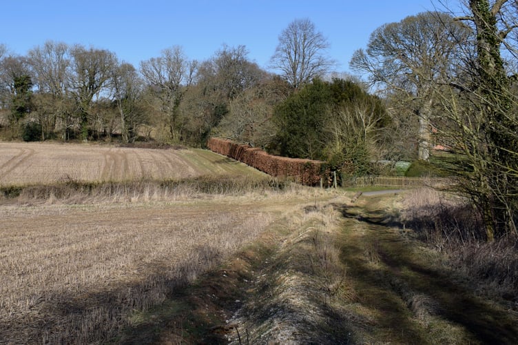 Hinton Ampner's Dutton Estate walk offers wonderful panoramic views