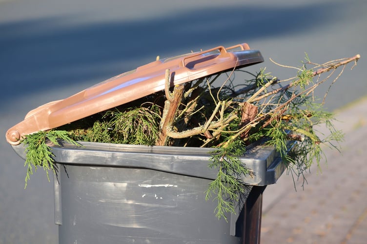 garden waste