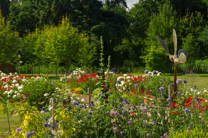 Call for gardeners to open up for Phyllis Tuckwell's Open Gardens