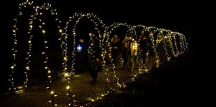 Wassailers keep evil spirits away from orchard at Chawton House