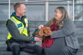 Meet Jinx, the dog on a mission to protect Wales’ endangered seabirds