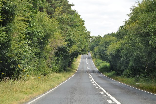 Driver was more than twice the legal drink-drive limit on A286 Haslemere  Road 