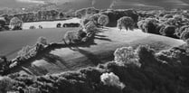 South Downs landscape photography exhibition at Haslemere Museum