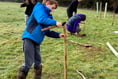 Tree planting was a positive community achievement