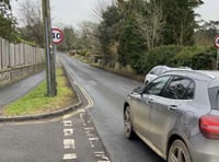 Appeal for councillors in Petersfield to unite on traffic calming plan