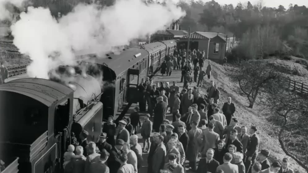 Walk: Exploring the former Rother Valley railway between Petersfield ...