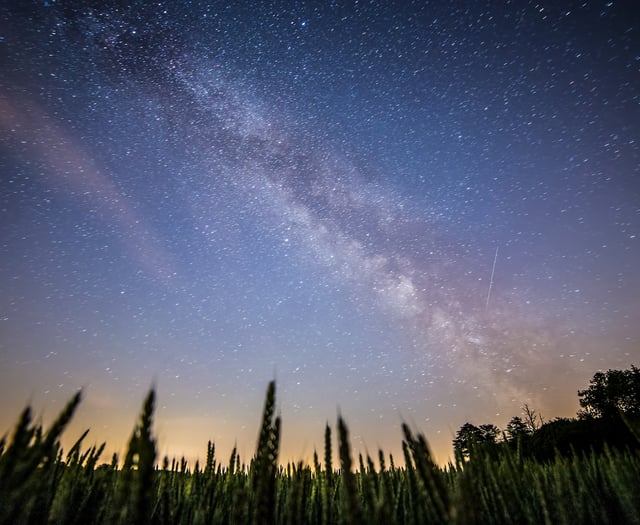 Heath Watch: Look up – there's so much to see in the South Downs