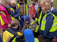 Children at St John's CE Infant School in Churt tackle climate crisis 