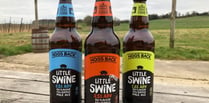 
Hogs Back Brewery launches ginger-flavoured beer Little Ginger Swine