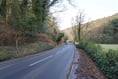 Work on the TT course to remove diseased trees